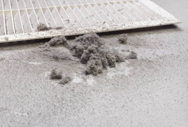 Air Duct Mold Removal in WA