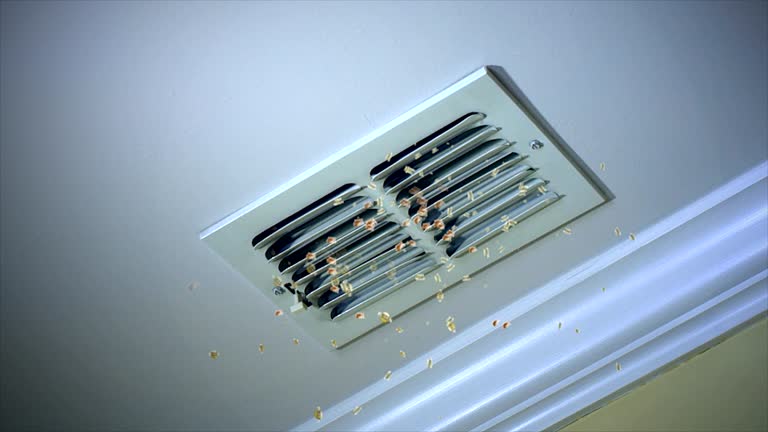 Best Best Air Duct Cleaning Company  in East Renton Highlands, WA