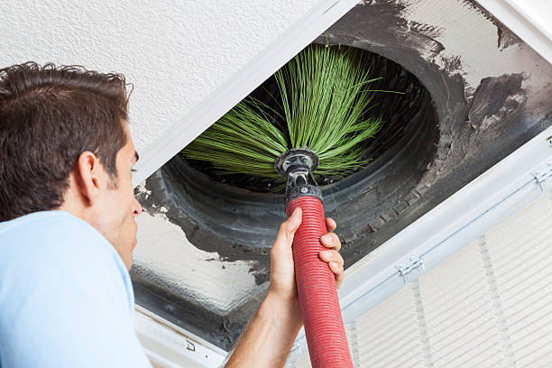 Best Dryer Vent Cleaning Services  in East Renton Highlands, WA