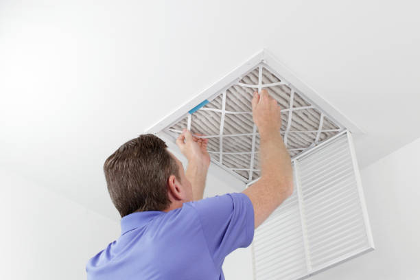 Best Ductwork Cleaning Services  in East Renton Highlands, WA